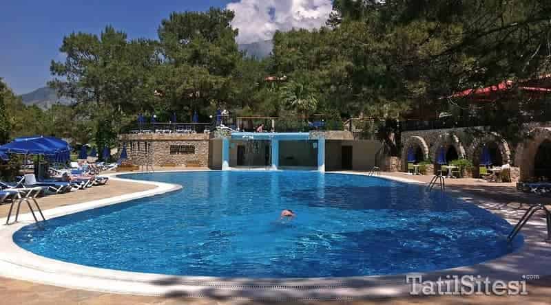 Montana Pine Resort Hotel